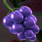 fruit-zen-symbol-grape-60x60s