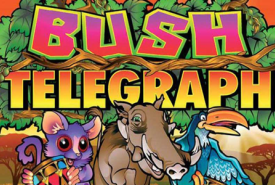 Bush Telegraph review