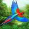 amazing-amazonia-parrot-60x60s