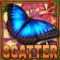amazing-amazonia-scatter-60x60s