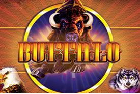 Buffalo review
