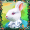 alice-bunny-60x60s