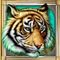 cats-online-nyerogep-05-tigris-60x60s