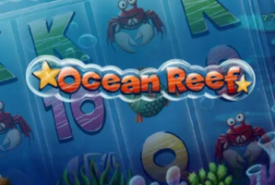 Ocean Reef review