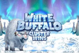 White Buffalo Cluster Wins review