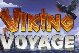 Viking Voyage review