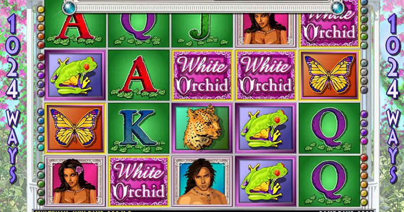 Játssz a A White Orchid online nyerőgép az IGT-től slottal most ingyen! | Kaszinok Online